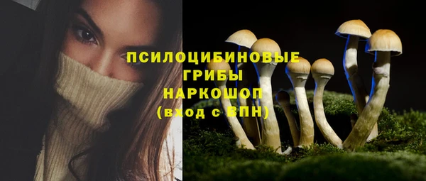 экстази Михайлов
