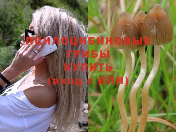 дмт Гусев