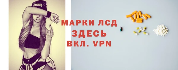 дмт Гусев