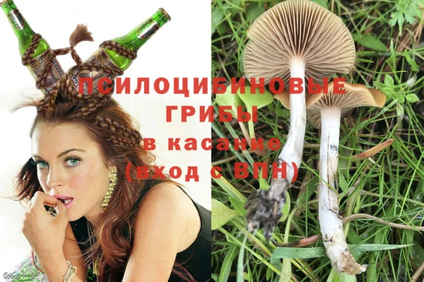 экстази Гусь-Хрустальный