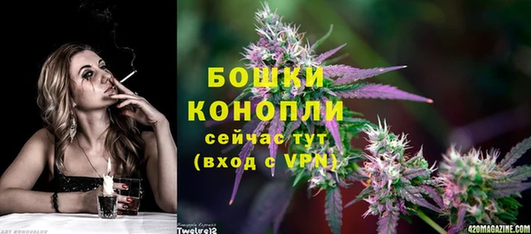 дмт Гусев
